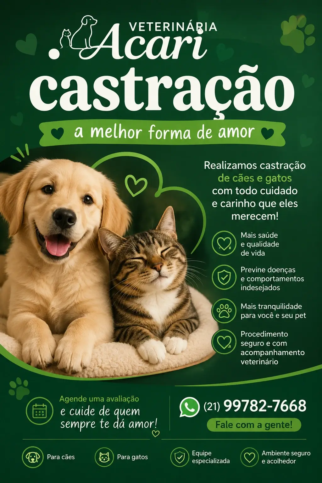 Castração de cães e gatos em Acari RJ na Veterinária Acari