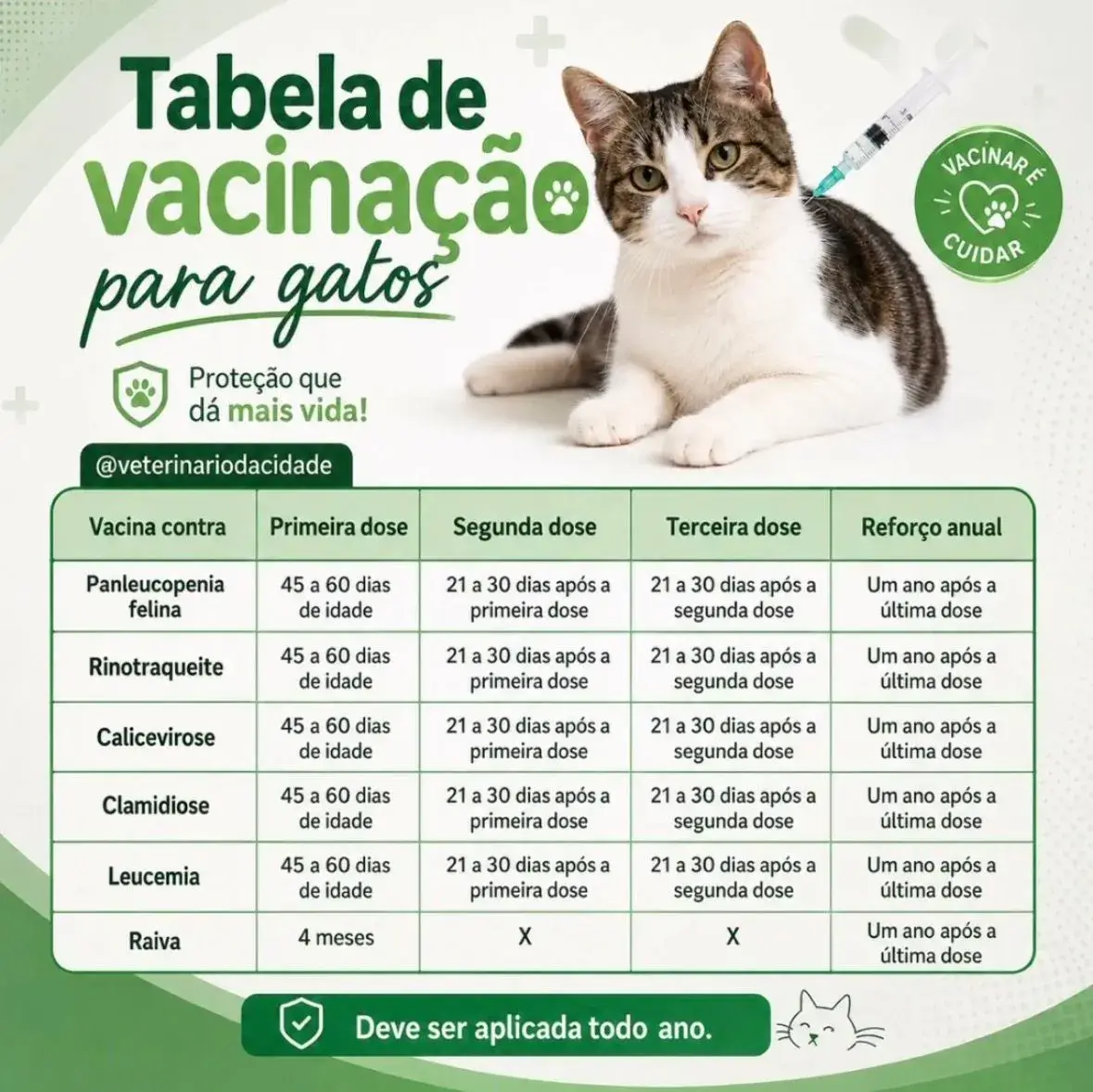 Vacinação para gatos em Acari RJ com vacina V4 V5 e raiva