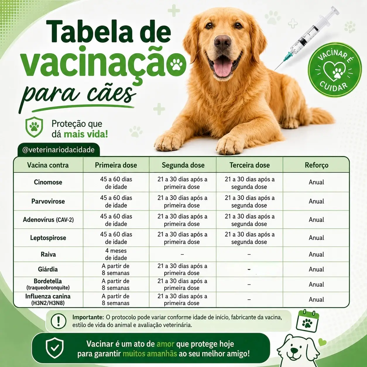 Vacinação para cães em Acari RJ com vacina V8 V10 pneumonia giárdia e raiva