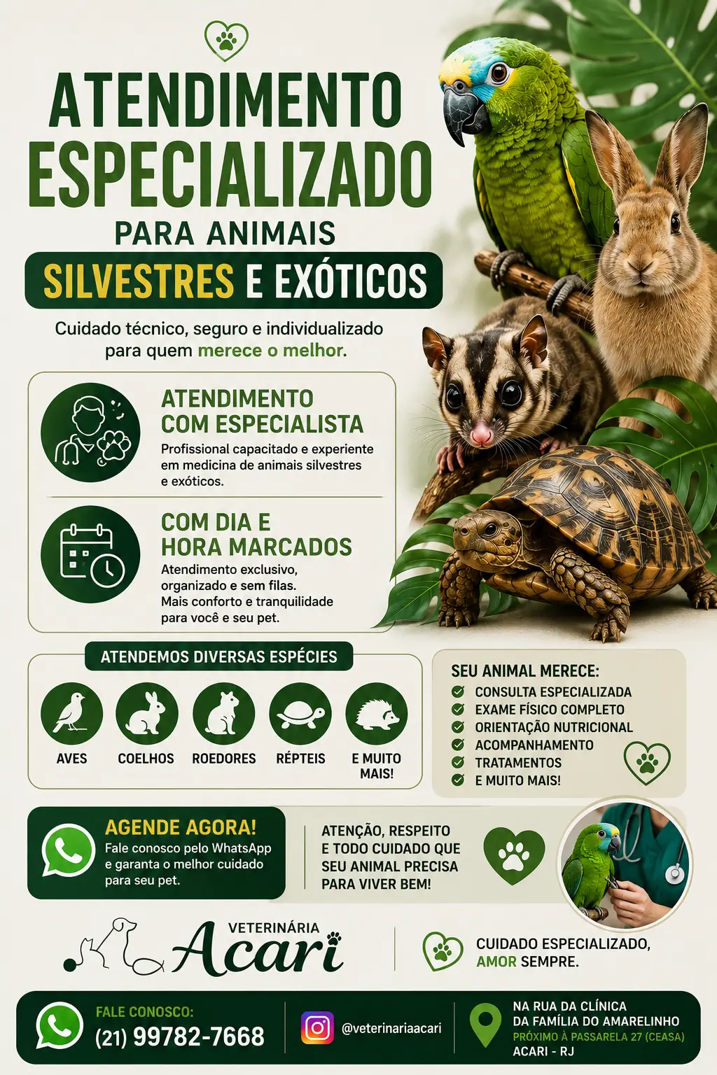 Atendimento para animais silvestres em Acari RJ na Clínica Veterinária Acari